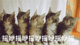 W020200716377320729186.gif